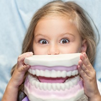 child holding up teeth model