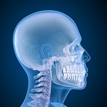 a graphic illustration of the jaw and skull