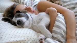 Woman asleep in bed with arms wrapped around her dog.